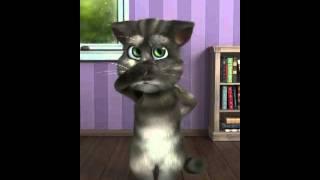 Talking Tom- annoyed
