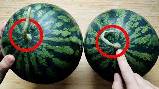 Whether watermelon is sweet or not, you can see it at a glance here. Tips for picking watermelons