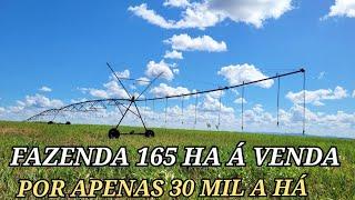 FAZENDA À VENDA EM LAGOA GRANDE MINAS GERAIS/SUPER  PRODUTIVA /COM MUITA ÁGUA/MADEIRA DE LEI