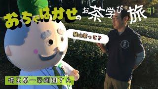 おちゃはかせのお茶学びの旅#1【in埼玉県-狭山茶】