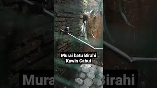 Murai Batu Kawin Birahi Tinggi Kawin Cabut langsung Cusss