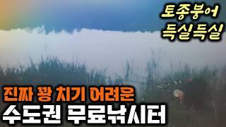 (주소공개) 꽝치기 어려운 곳인지 몰랐는데? '토종붕어가 줄서서 따박따박 나오네?' 굶주린 붕어들이 줄줄이 사탕!! 나만알고 싶은 무료낚시터