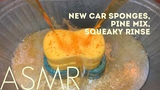 ASMR | New Car Sponges, Pine & a Squeaky Rinse