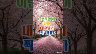 이런사람이 진짜 내 운명의 짝입니다#명언#좋은글#지혜#인생조언