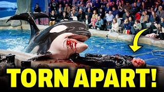 This BRUTAL Orca Attack On Trainer Ken Peters Left The World STUNNED