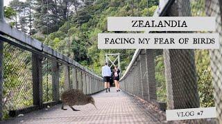 FACING MY FEAR - Zealandia // vlog #7