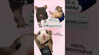 Анимация. Идея reels с украшениями. День мамы. #анимация #юмор #мышь