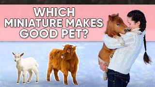 Which Miniature Animals Make Good Pets? | Mini Cow, Pygmy Goat, Mini Pig, Pony