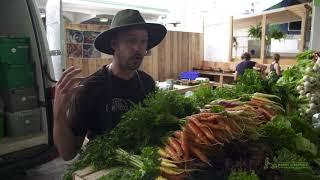 How To Grow Carrots: Sowing To Harvest
