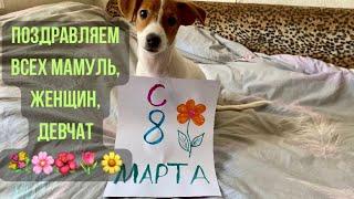 ВСЕХ МАМУЛЬ И ДЕВЧАТ С 8 МАРТА