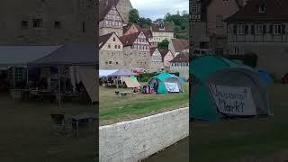 Протест против глобальное потепления в Германии #германия #christinasanko