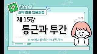 #025_(STEP1 명리입문 살짝초보 15강) 통근과 투간