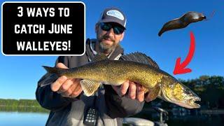 3 Early Summer Walleye Techniques Every Angler Should Know!