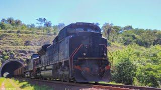 Trem gigante com quase 300 vagões passando chutado na Ferrovia do Aço, maquinista buzinando muito.