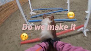 Raised trot poles with Mable! tack up and ride with me GoPro video