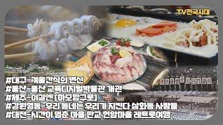 [TV전국시대] 12월26일(목) 전체방송 다시보기