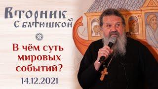 Мы переживаем личный апокалипсис. Вторник с Батюшкой. Беседа о. Андрея 14 декабря 2021 года