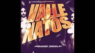 VALLENATOS ROMANTICOS VOL  5  JOSUANDY DISCPLAY   DJ JOSUE THE NEW LEVEL DISEÑADORGRAFICO