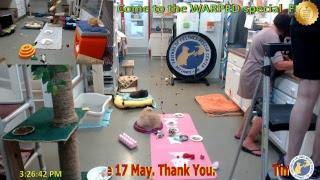 FOFRescueCenter Live Stream