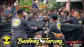 Banteng Kembar Live Wiyu Pacet || Bantengan