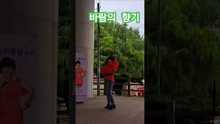 나홀로버스킹~ㅎ #바람의향기#참새이종성#버스킹#발라드
