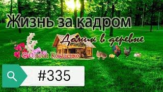 Жизнь за кадром # 335