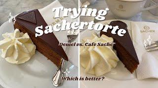 Trying Sachertorte Demel vs. Cafe Sacher - Which is Better?