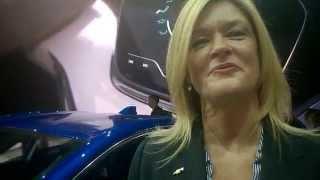 Pam Fletcher - Chief Engineer of Electrified Vehicles, GM