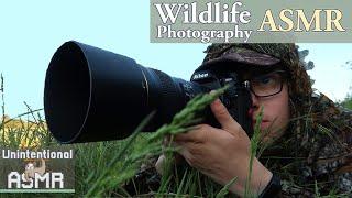 Unintentional ASMR  Enthusiastic Young Wildlife Photographer (Great Whispering & Nature Sounds)