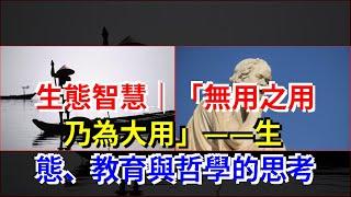 生態智慧｜“無用之用，乃為大用”——生態、教育與哲學的思考