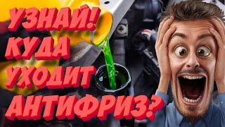 Куда и почему уходит антифриз? Топ-5 причин утечки антифриза!