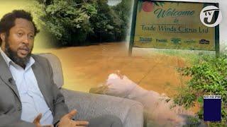 NEPA Drops Case Against Trade Winds Citrus for Rio Cobre Oil Spill | TVJ News