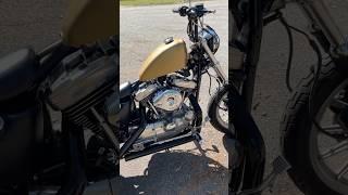 EVO SPORTSTER 1200 IDLE & WALK AROUND. All Complete & Ready for a New Home!