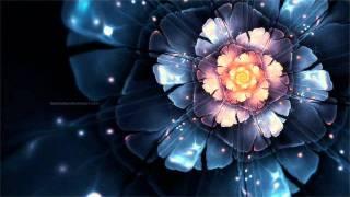 Electro Sun vs Visual Contact - Facing The Future (Dirty Diamonds Rmx)