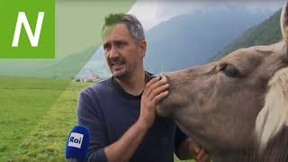 Rai Südtirol „Land&Leben": Global Forum, Heumilch