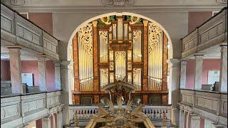 Live Organ Concert on the 1738 Eilert Köhler Organ in Suhl, Germany | 2020.08.23 | Balint Karosi