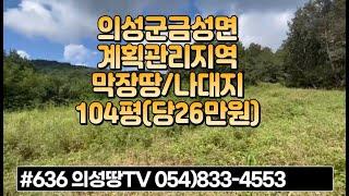 #636 의성땅TV 나대지 모양반듯 평평한 마을에서 떨어진 채소밭 104평 2700만원(당26만) 집헐고 밭사용중 바로건축가능 주말농장 농막설치용 #의성땅#의성나대지#전원생활