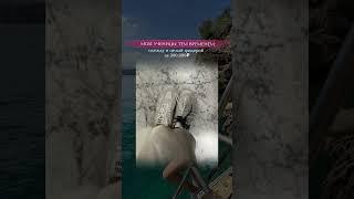 Это доступно Э$кортрицам?Э$КОРТНИЦЫ получают оплату,a достойные подарки получают ДРАГОЦЕННЫЕ ДЕВУШКИ