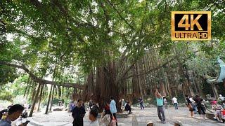 [Walking Tour] People's Park, Nanning City, Guangxi