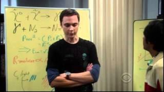 Raj's Job Interview - The Big Bang Theory