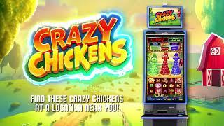 Learn More About | Crazy Chickens