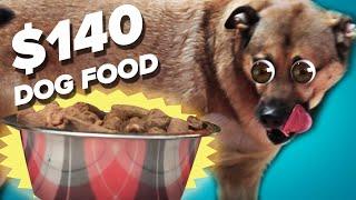 $10 Dog Food Vs. $140 Dog Food