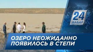 Озеро неожиданно образовалось в степи Атырауской области