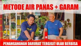 WAWANCARA KORBAN GIGITAN ULAR BERBISA DENGAN METODE AIR PANAS DAN GARAM