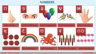 Spoken Kannada - Sample class for Numbers in Kannada