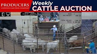 6/27/2024 - Producers Livestock Auction Company - Cattle Auction