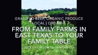 JOIN OUR CSA | COMMUNITY SUPPORTED AGRICULTURE | ORGANIC PRODUCE + GRASS-FED BEEF