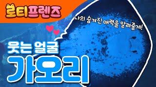 슈퍼스타 가오리  | 가오리 꼬리의 비밀은? | 물 속 장기자랑  | 바다동물 | 자연교육 | 로티프렌즈 인기동요 | LOTTY FRIENDS