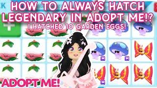 NEW HACK & GLITCH?! Always Hatch Legendaries From Garden Egg!! Working 2024* #preppyadoptme #adoptme