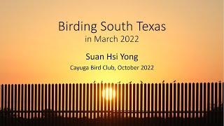 Suan Yong: Birding South Texas - Cayuga Bird Club 2022-10